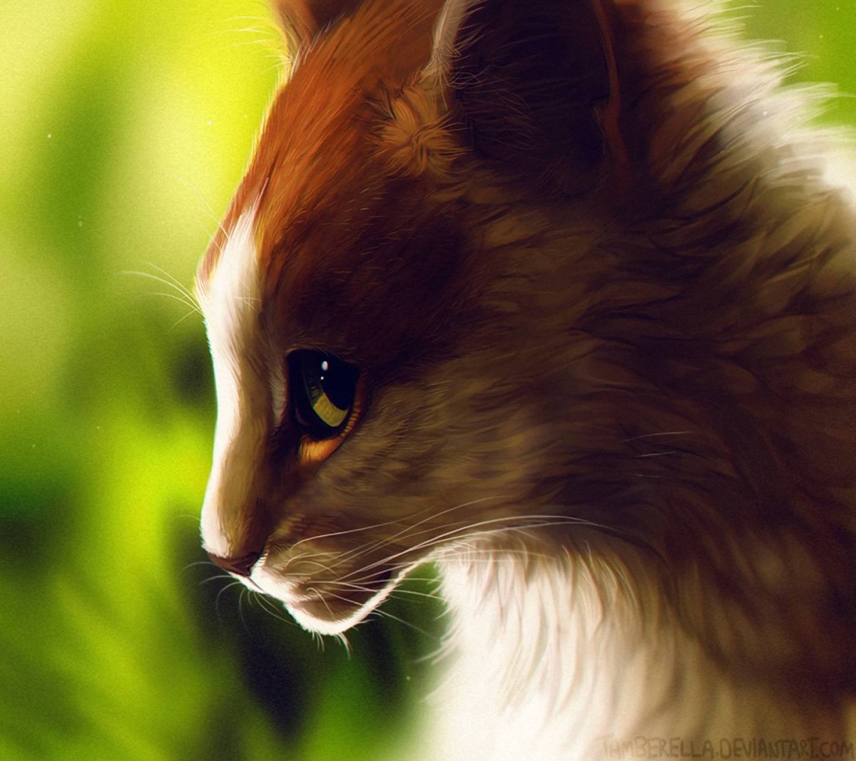 Коты Воители красивые