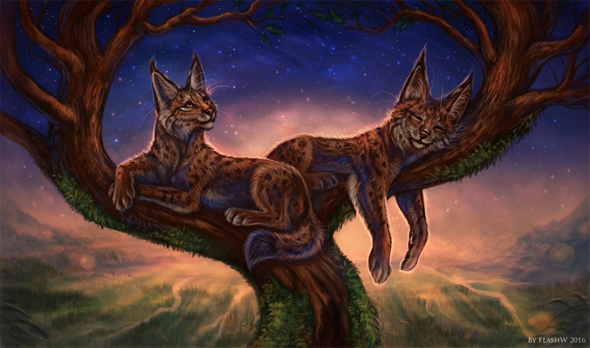 Коты Воители Рысь