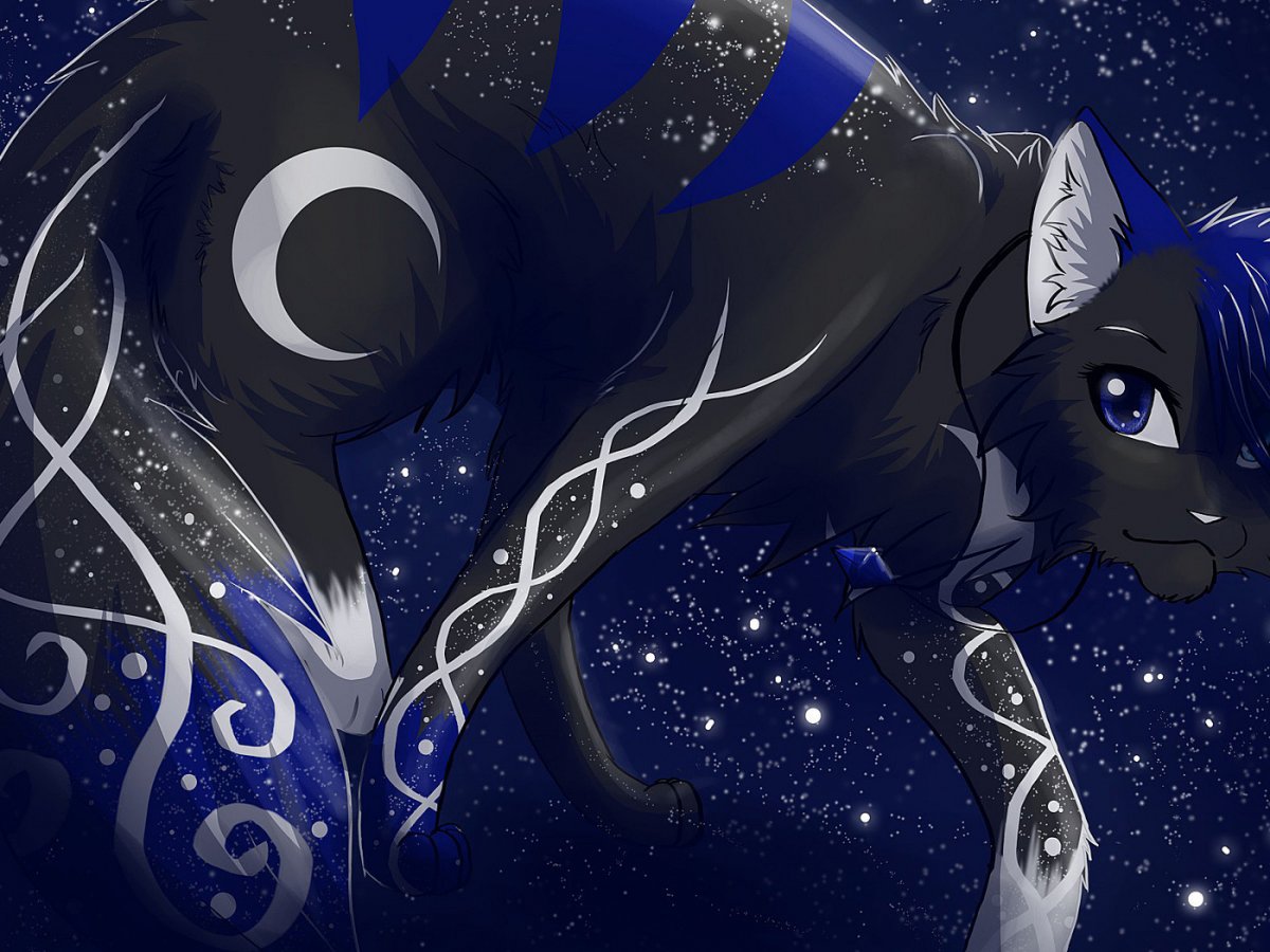 Космический кот коты Воители