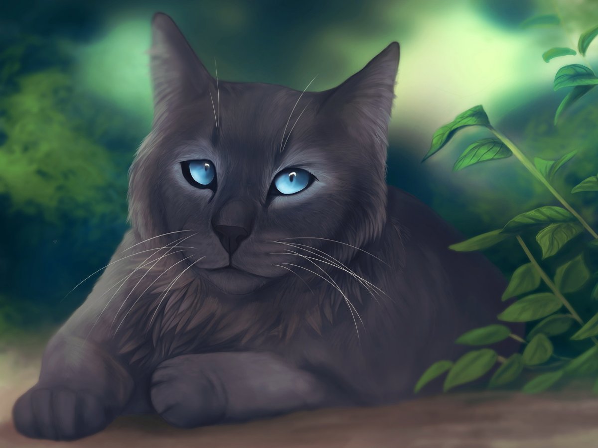 Коты Воители Черныш