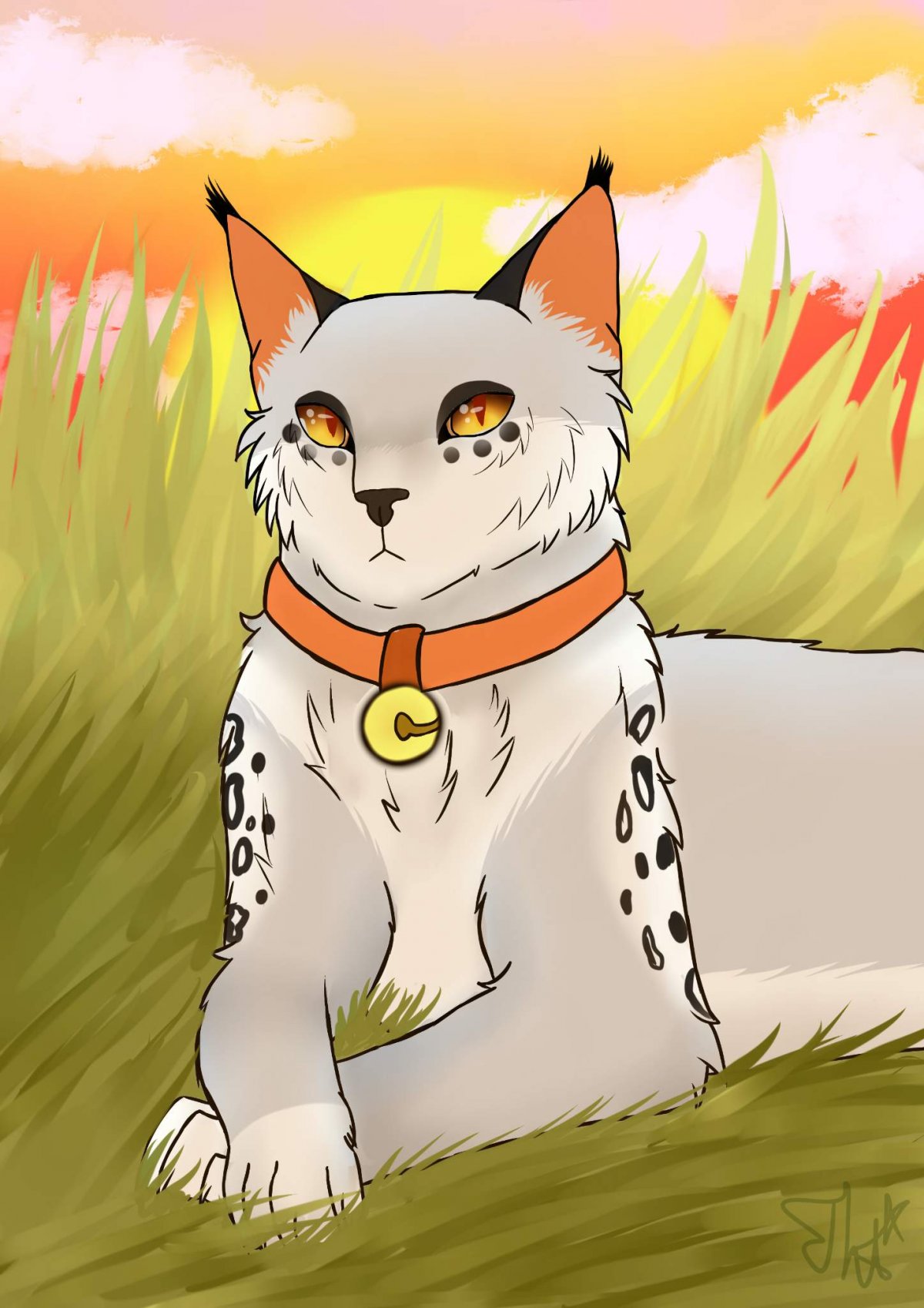 Коты Воители Айла