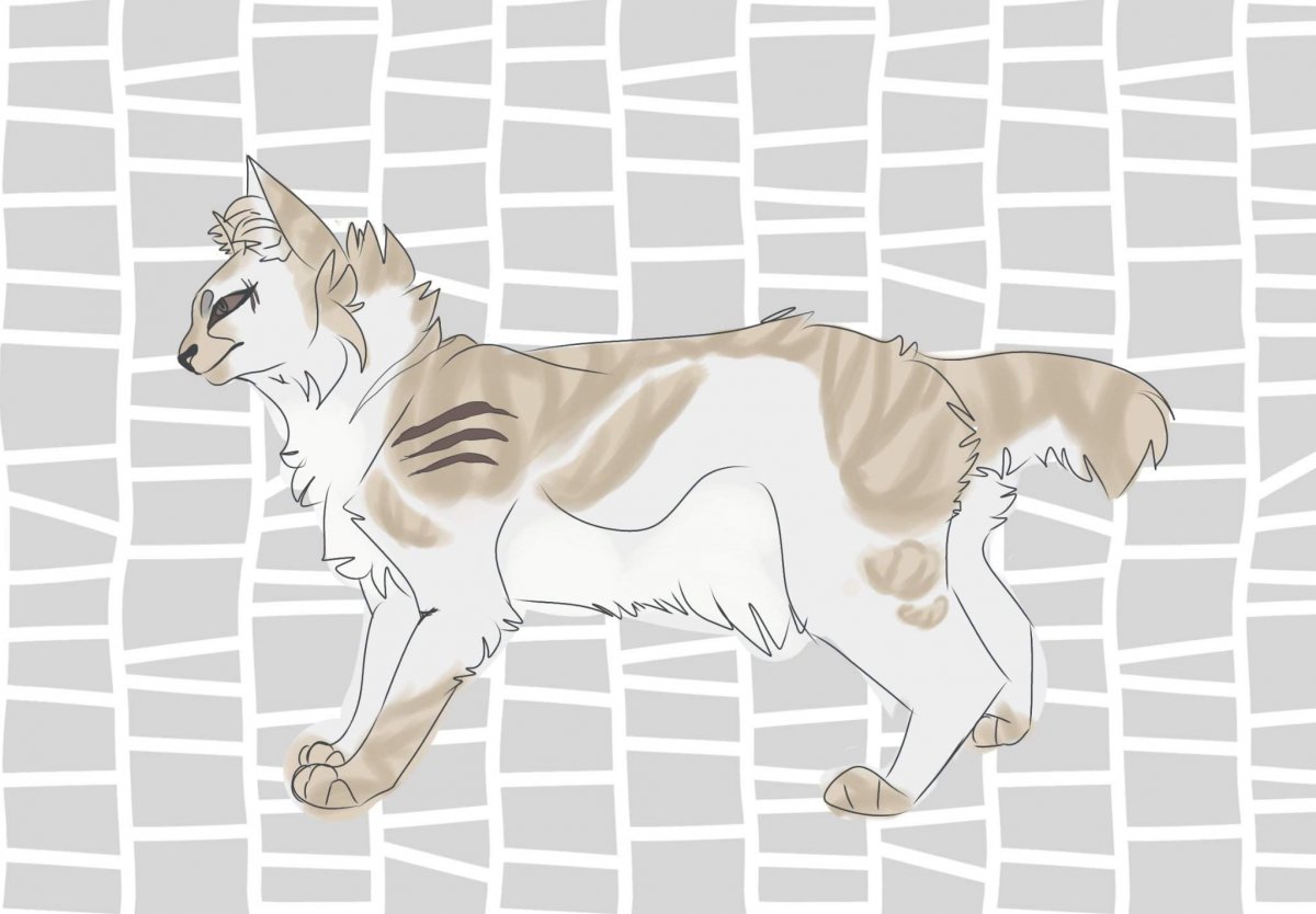 Вихрь коты Воители