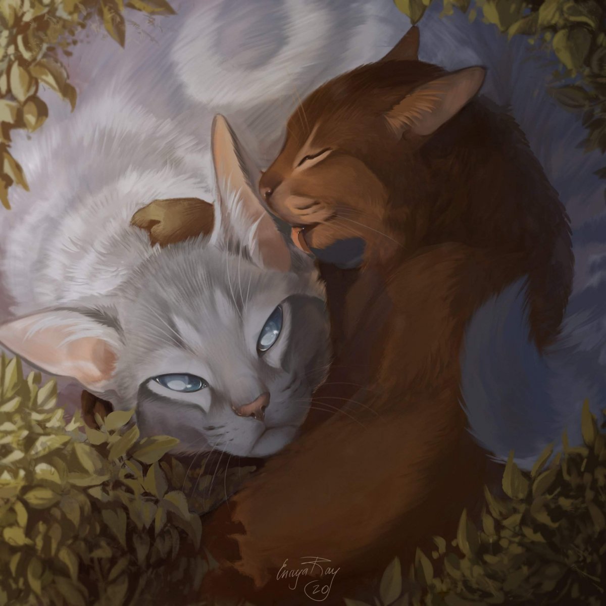 Фото коты Воители Кленовница