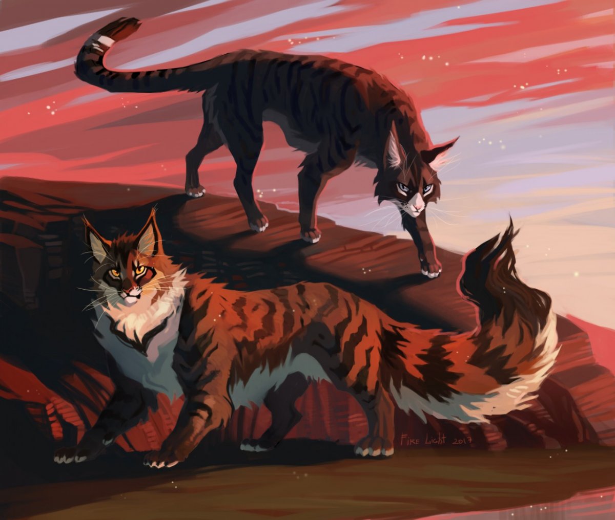 Коты Воители Звёздная тропа