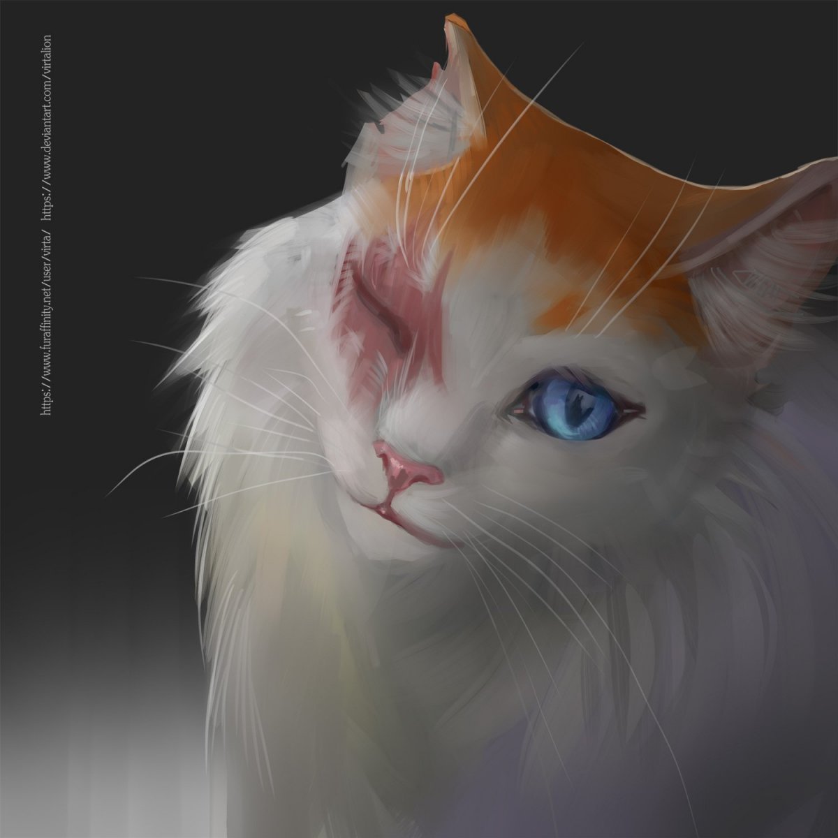 Коты Воители Звёздный Луч