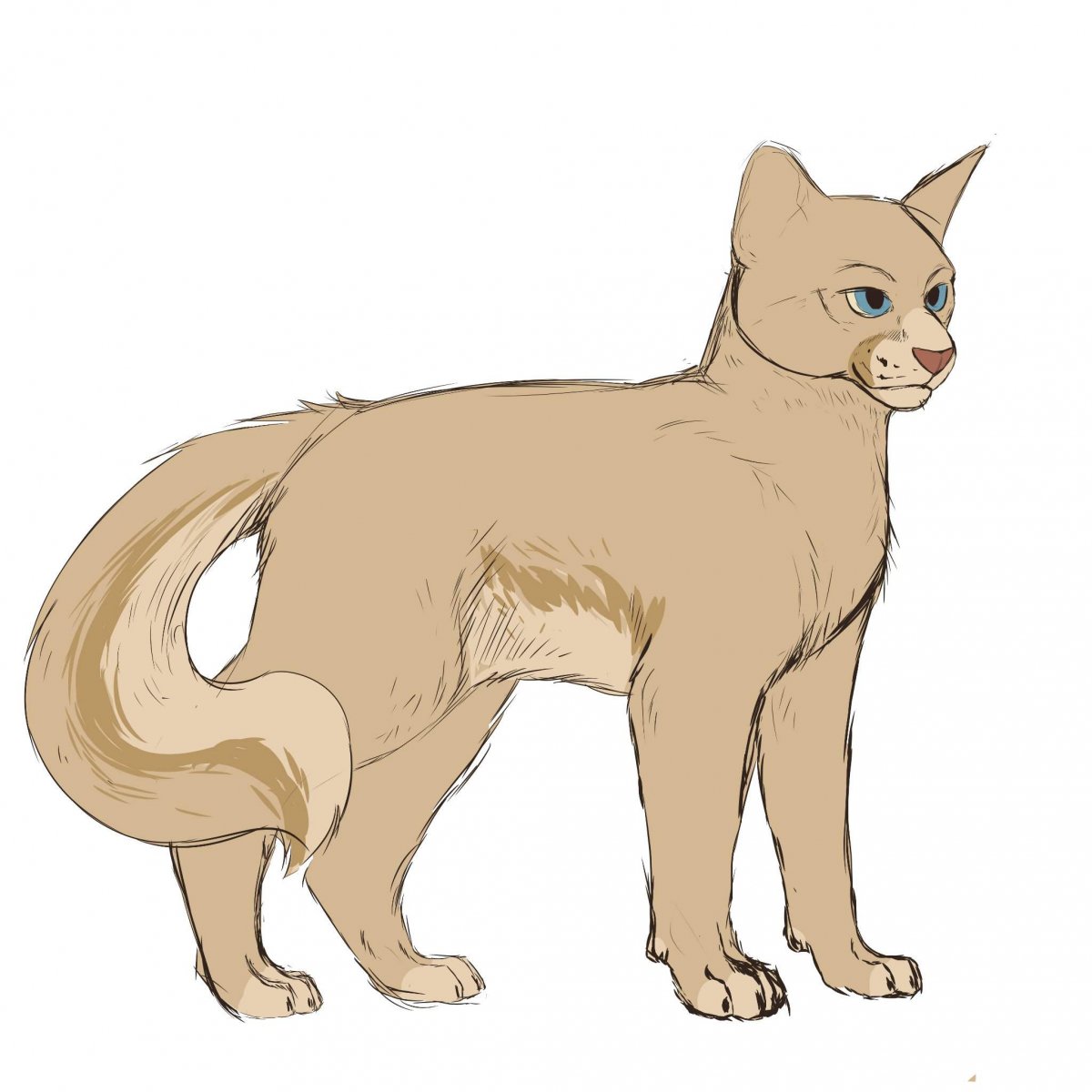 Коты Воители Зыбкозвёзд