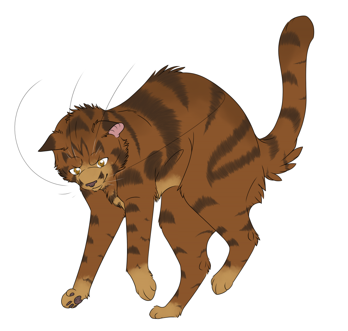 Клип коты Воители босс