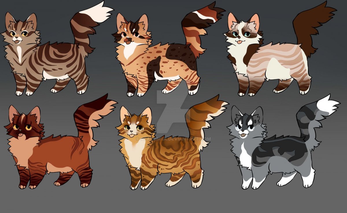 Коты Воители надпись