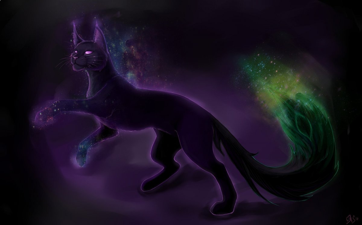 Коты Воители пантера