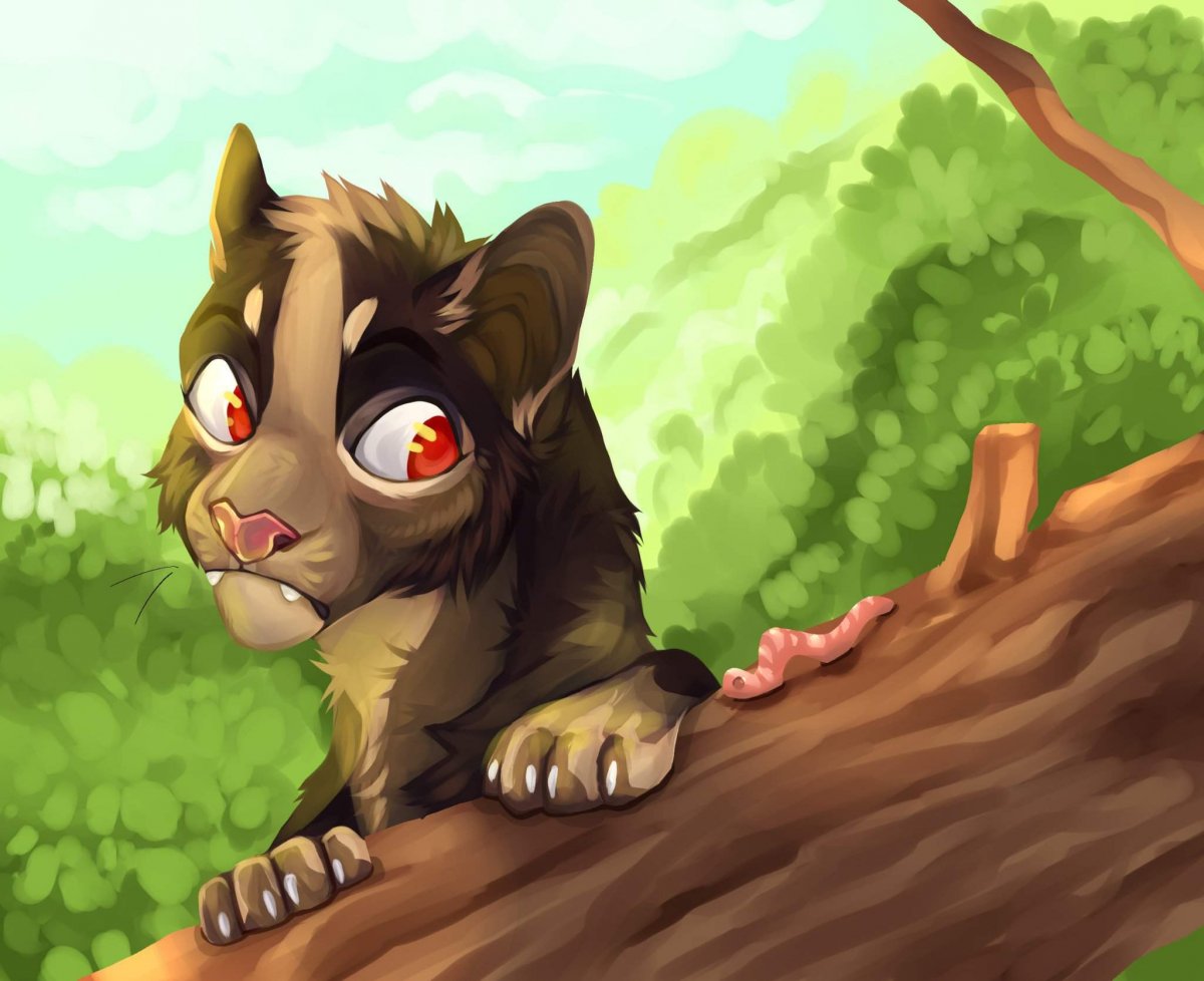 Коты Воители берестенник