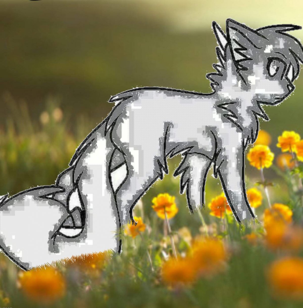 Фрэнсис коты Воители