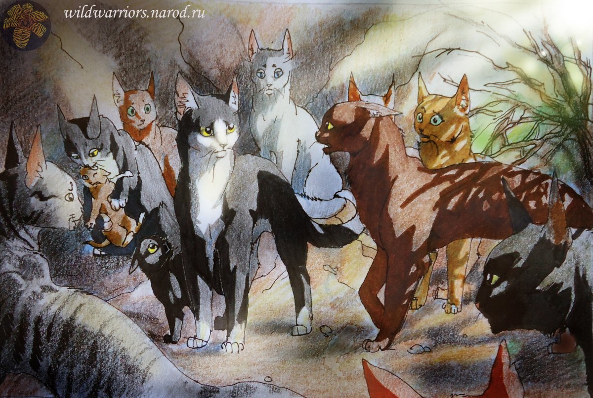 Коты Воители Звездоцап Ривер спирит