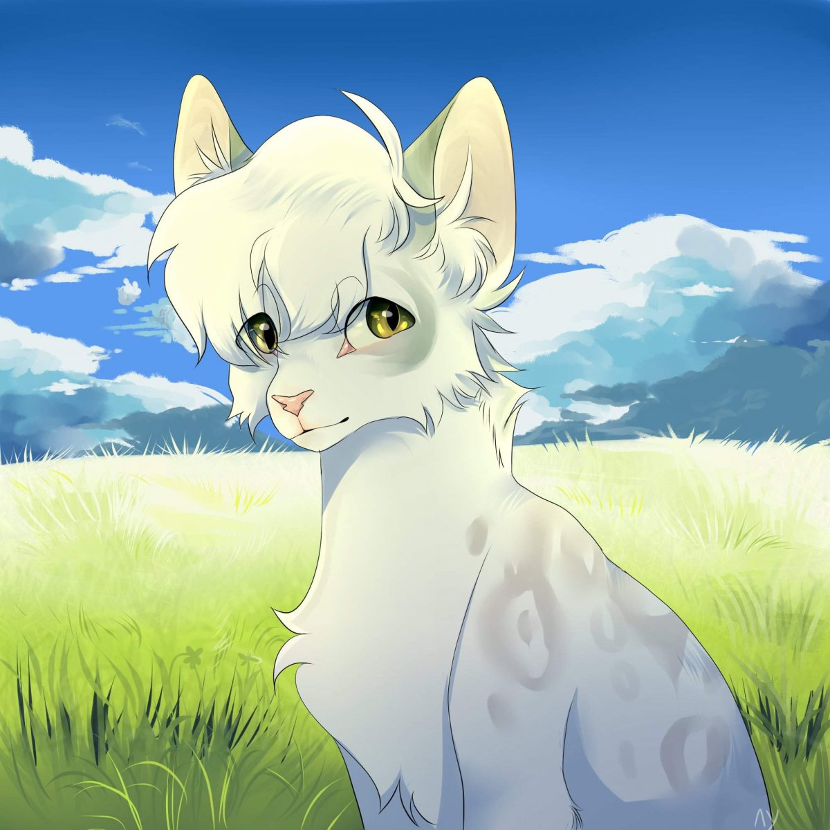 Коты Воители Космическая звезда