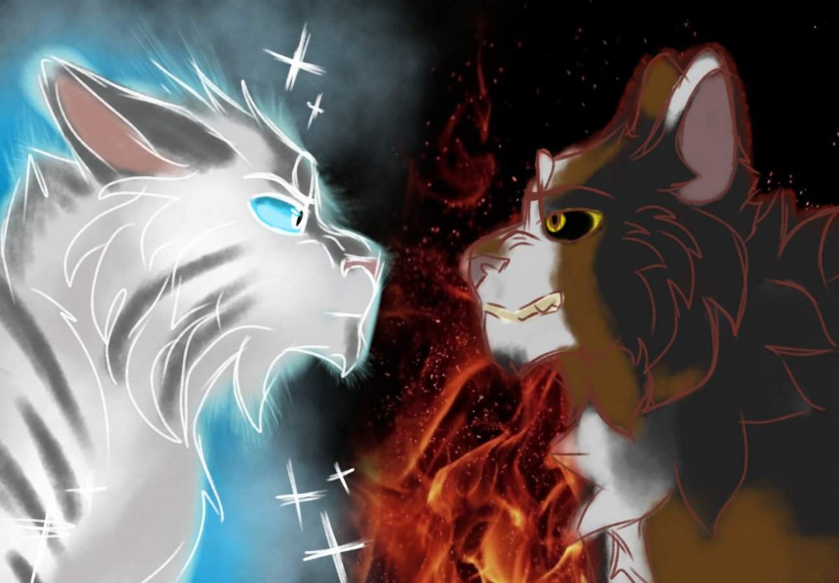 Коты Воители Остролистая