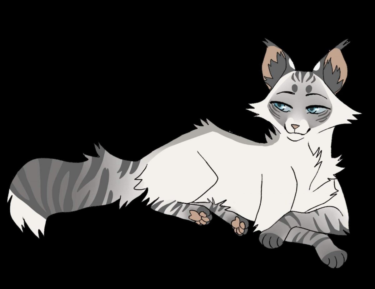 Коты Воители арт 4 племени