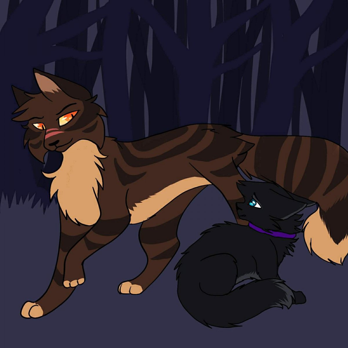 Серая кошка с зелеными глазами