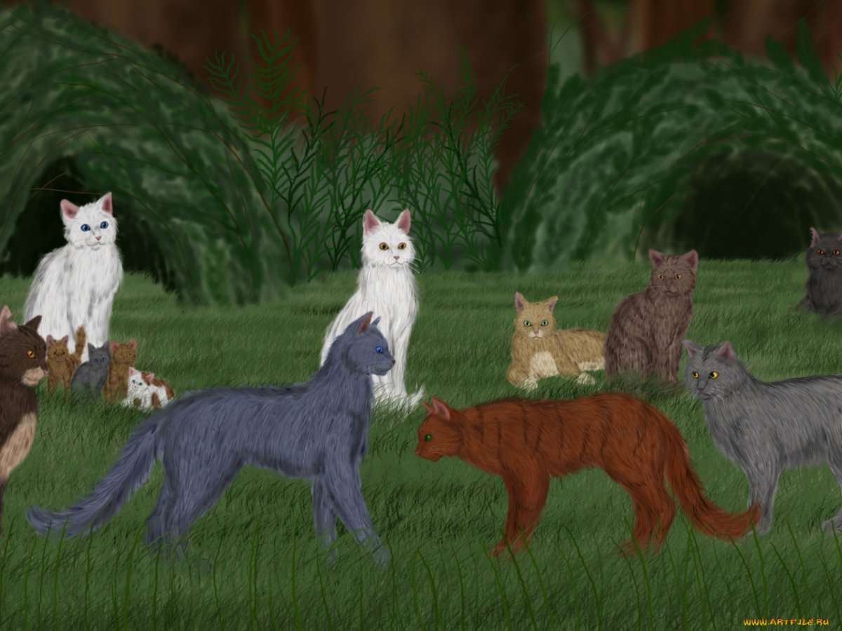 Коты Воители Пестролистая и коготь