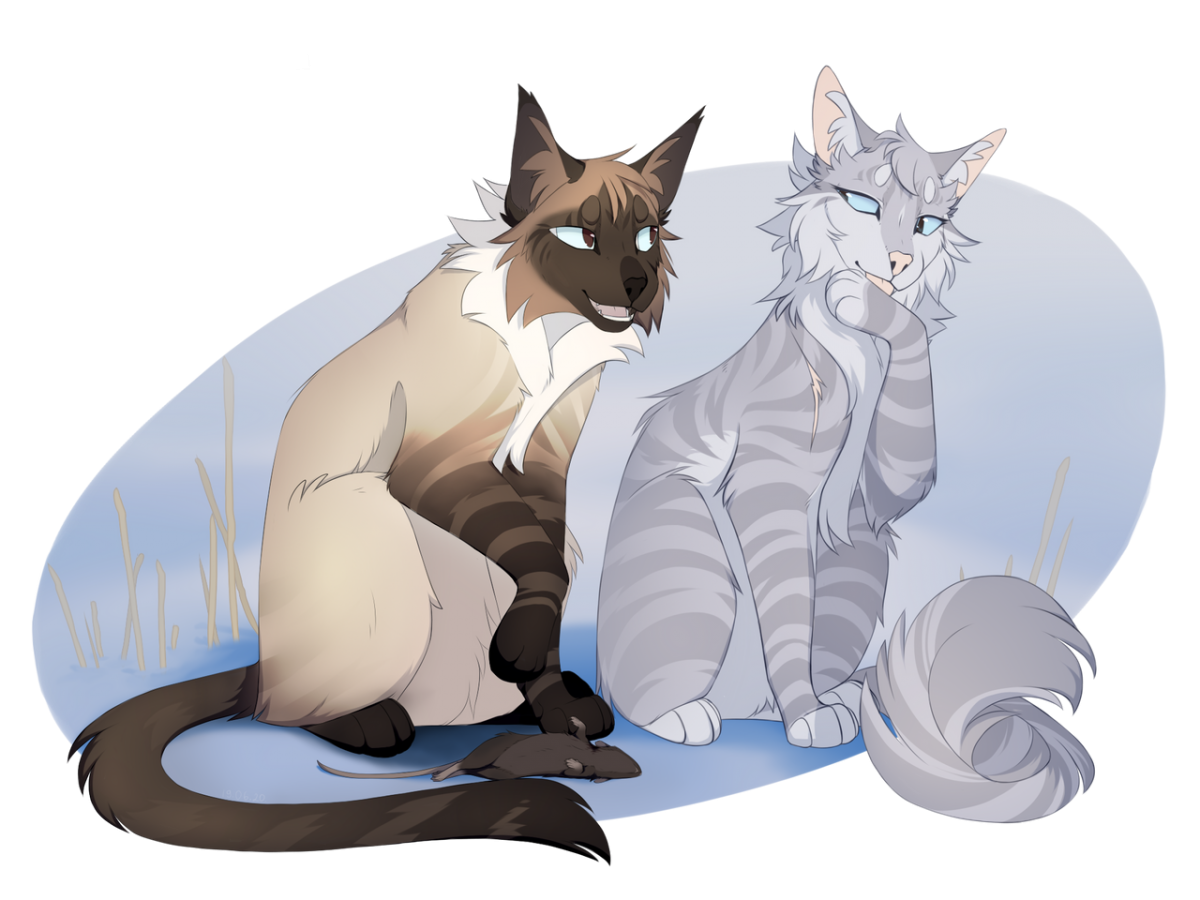 Энки кот воитель волк