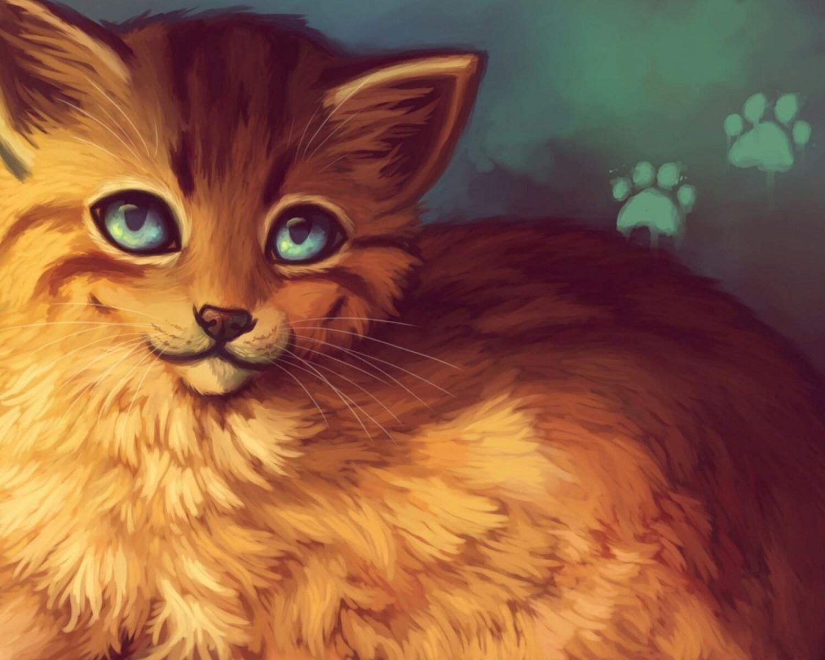 Коты Воители ночная звезда