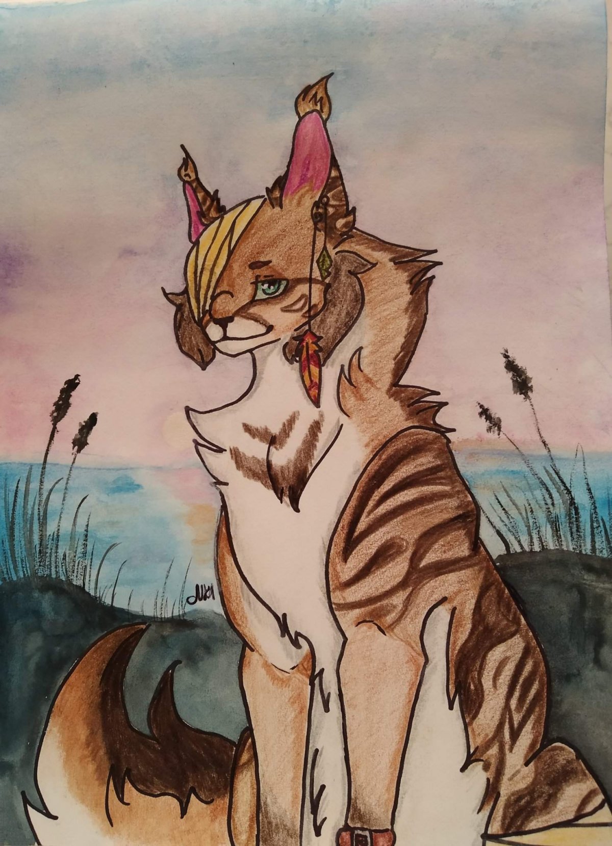 Коты Воители