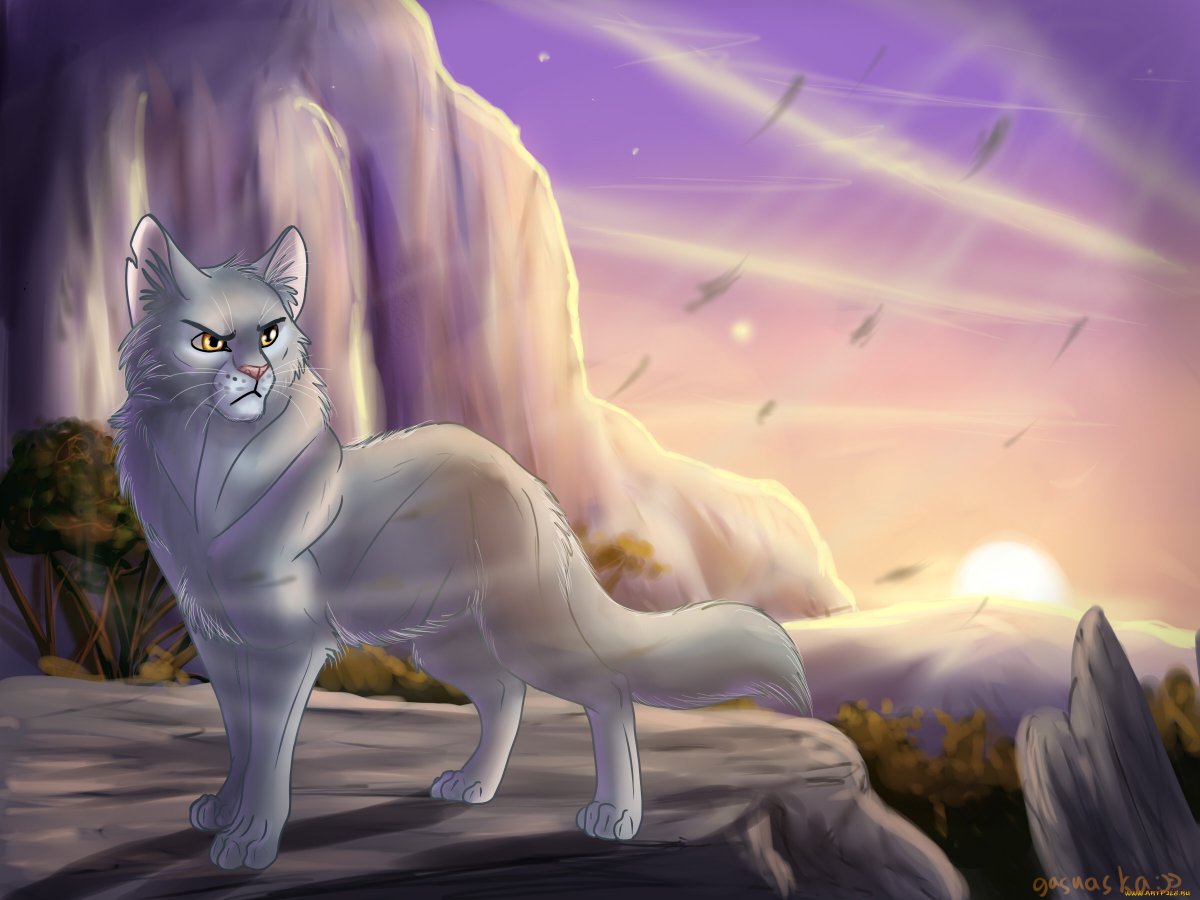 Коты Воители Джесси