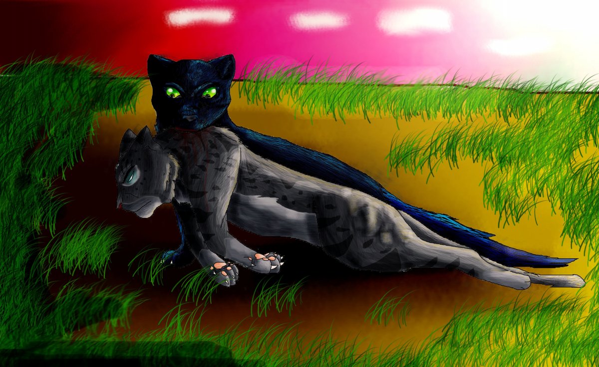 Коты Воители грозовое племя