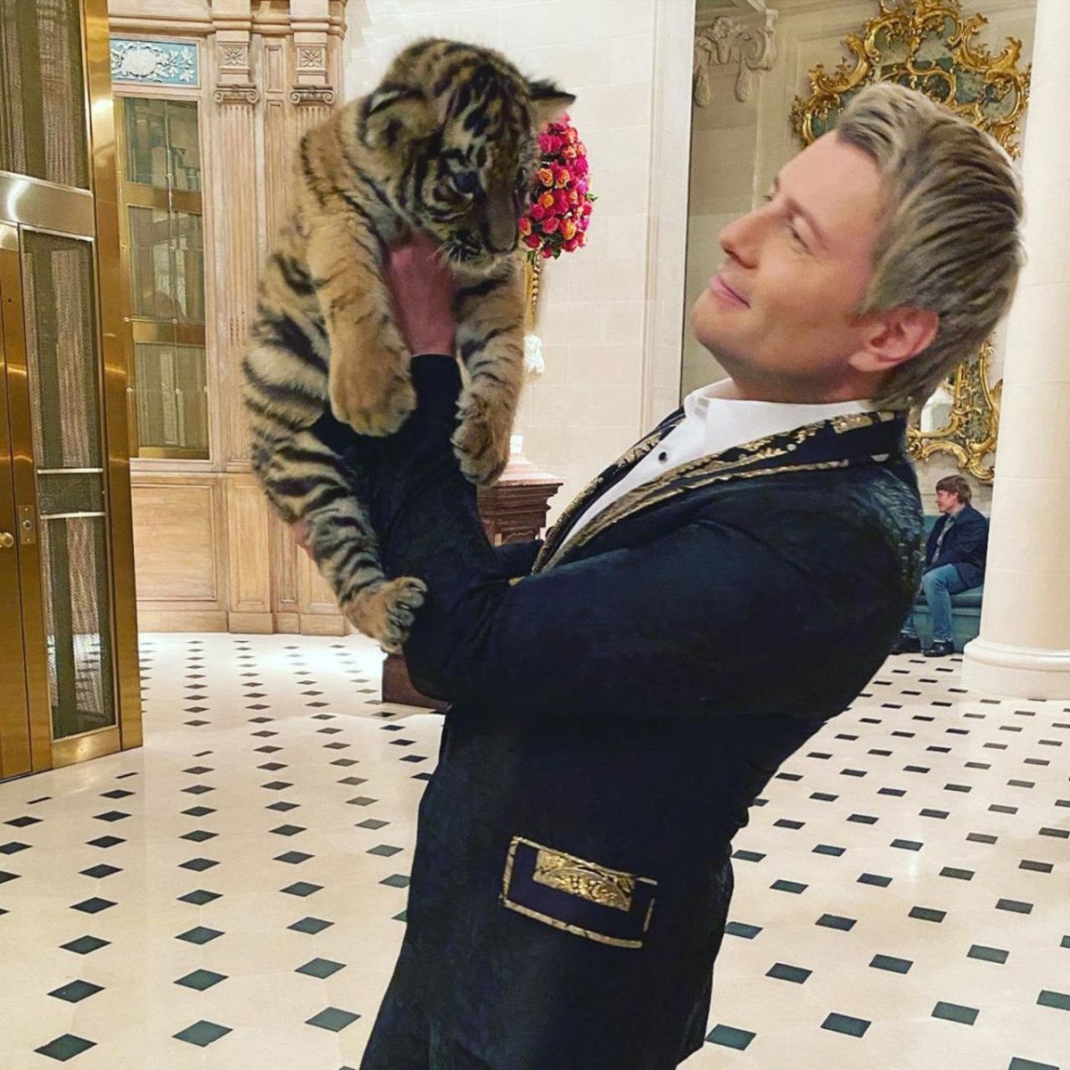 Кот Николая Баскова