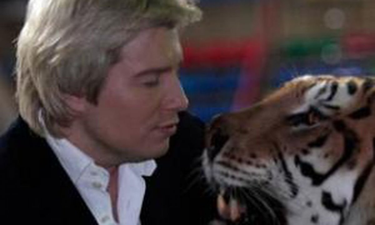 Кот Николая Баскова