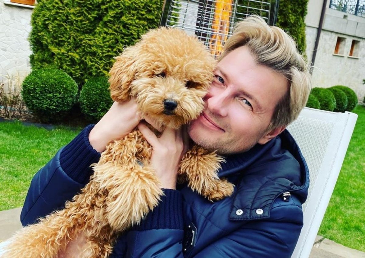 Котолис Корсика