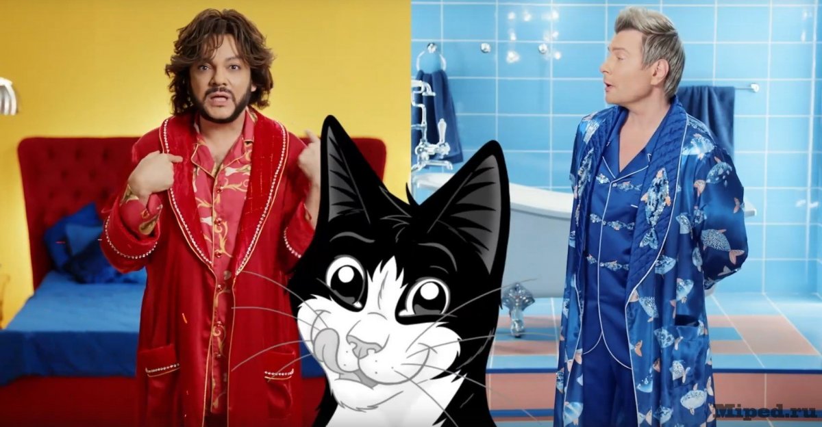 Котята Мейн кун белые