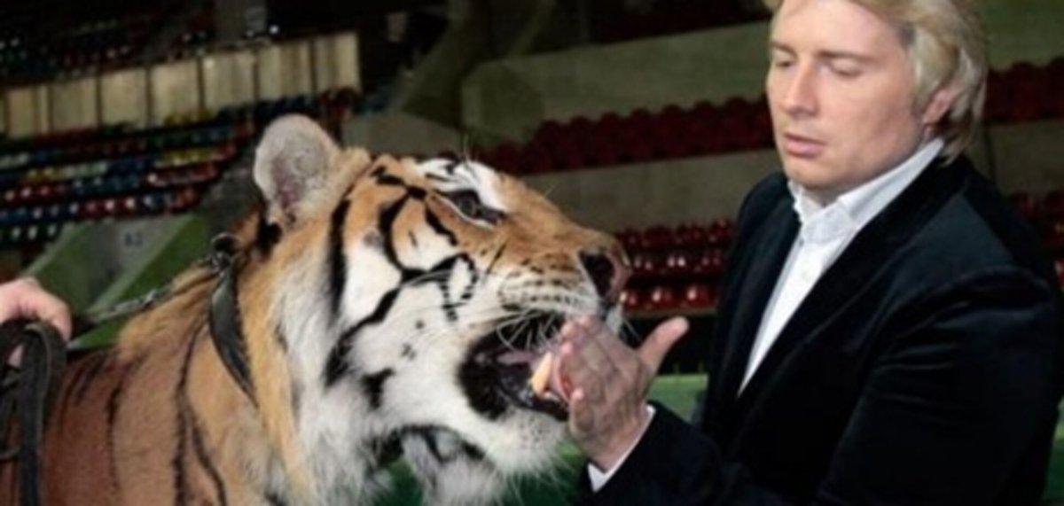 Кошка Баскова порода