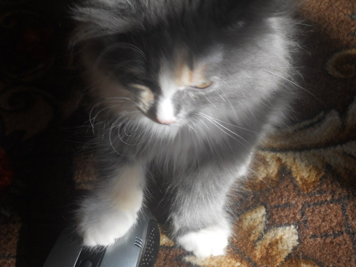 Николай Басков 1996