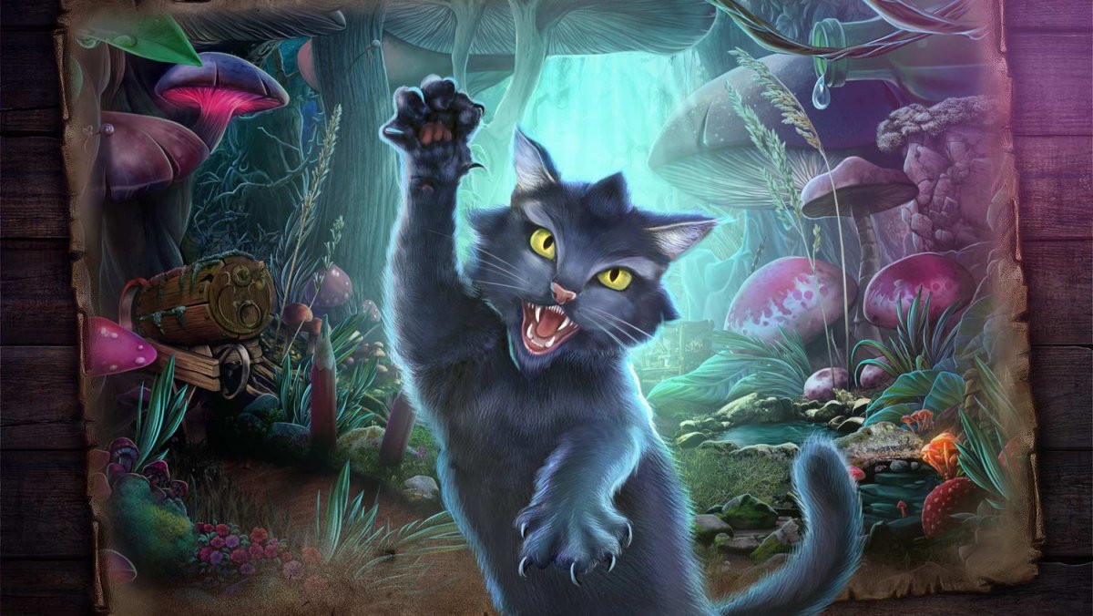 Лесной кот фото