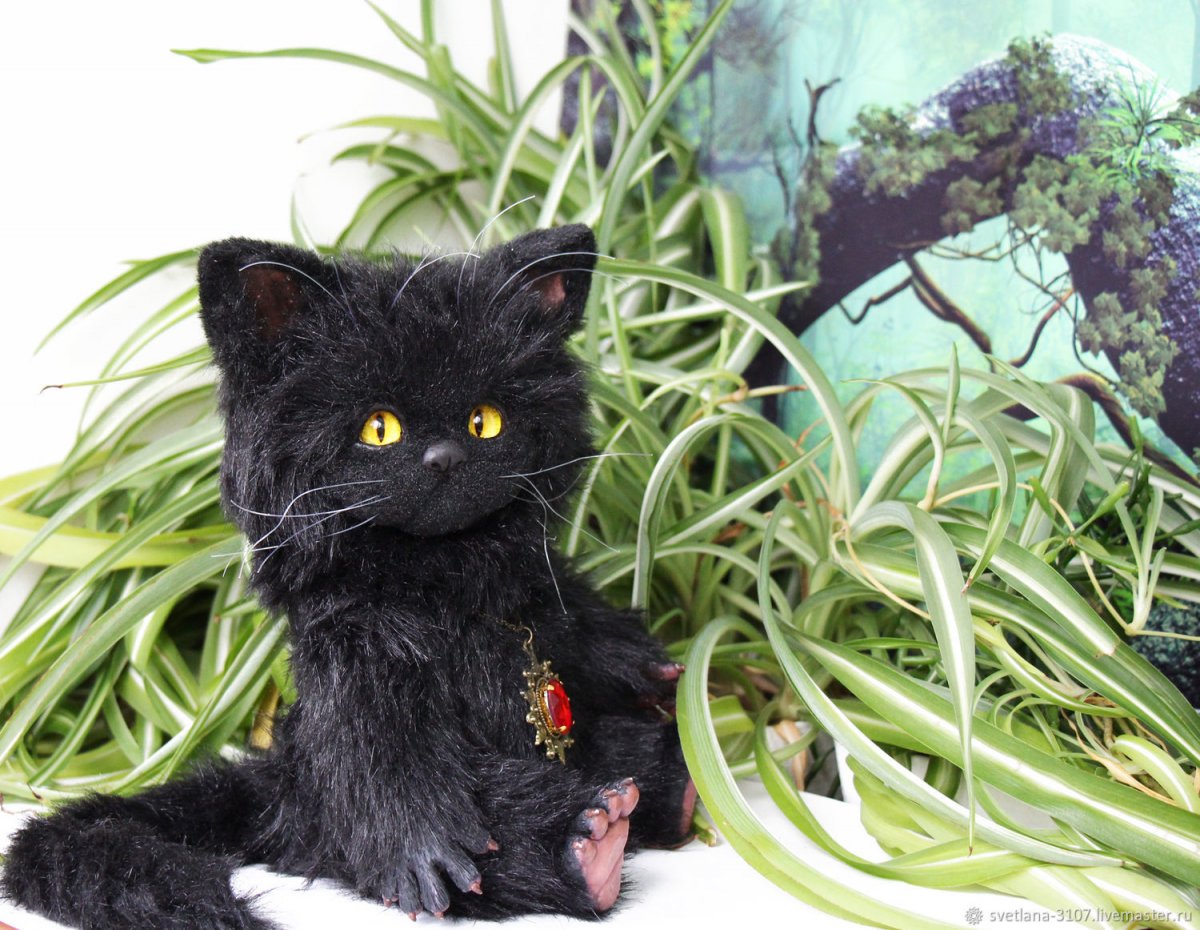 Кот Баюн Кострома