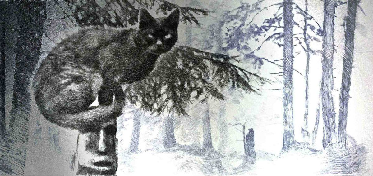 Камышовый кот Манул