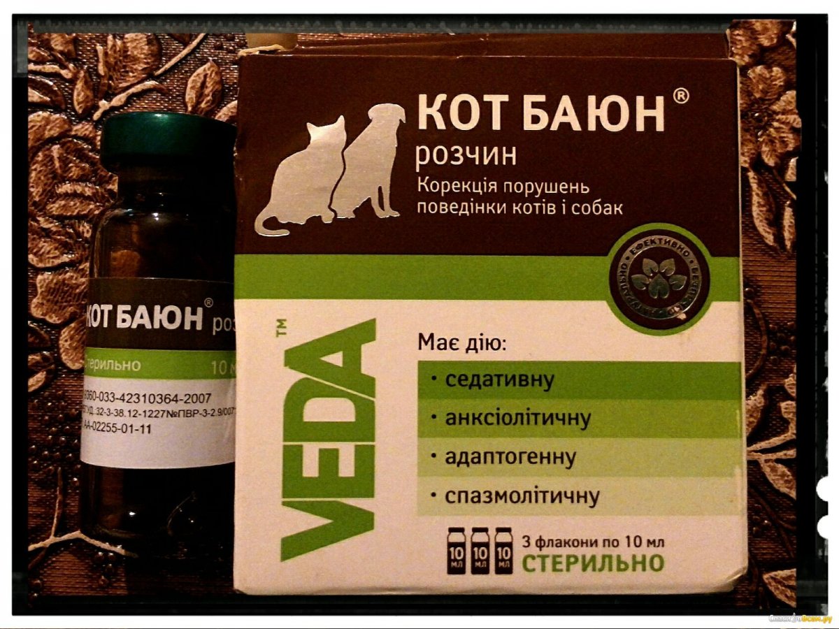 Кот ученый и Баюн