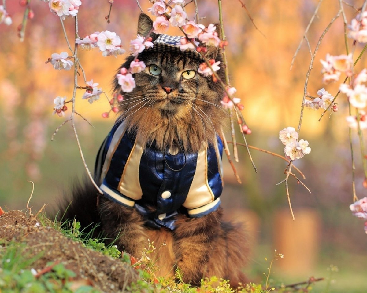 Весеннего настроения прикольные