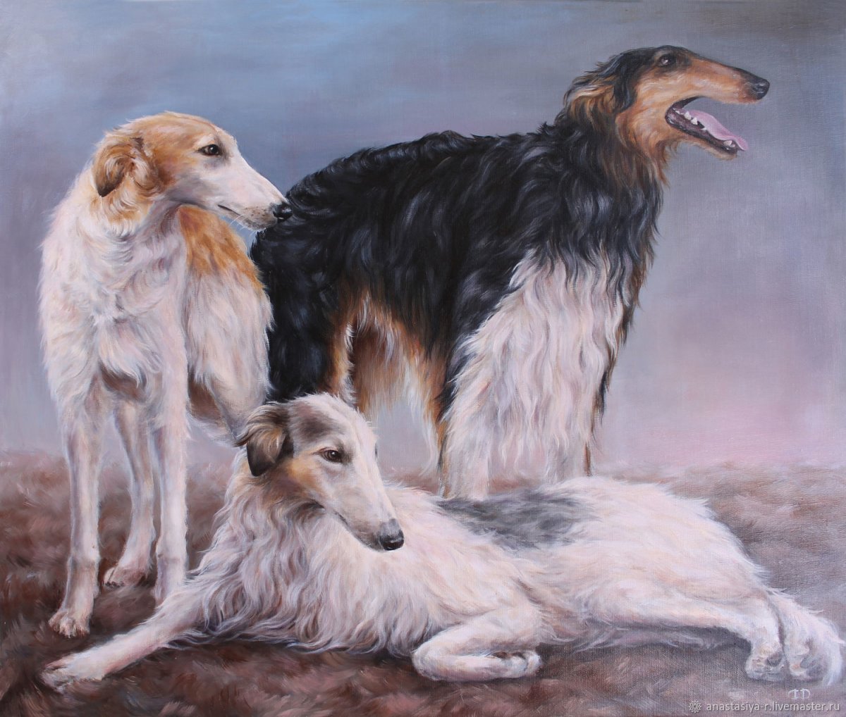 Русская псовая борзая кобель и сука