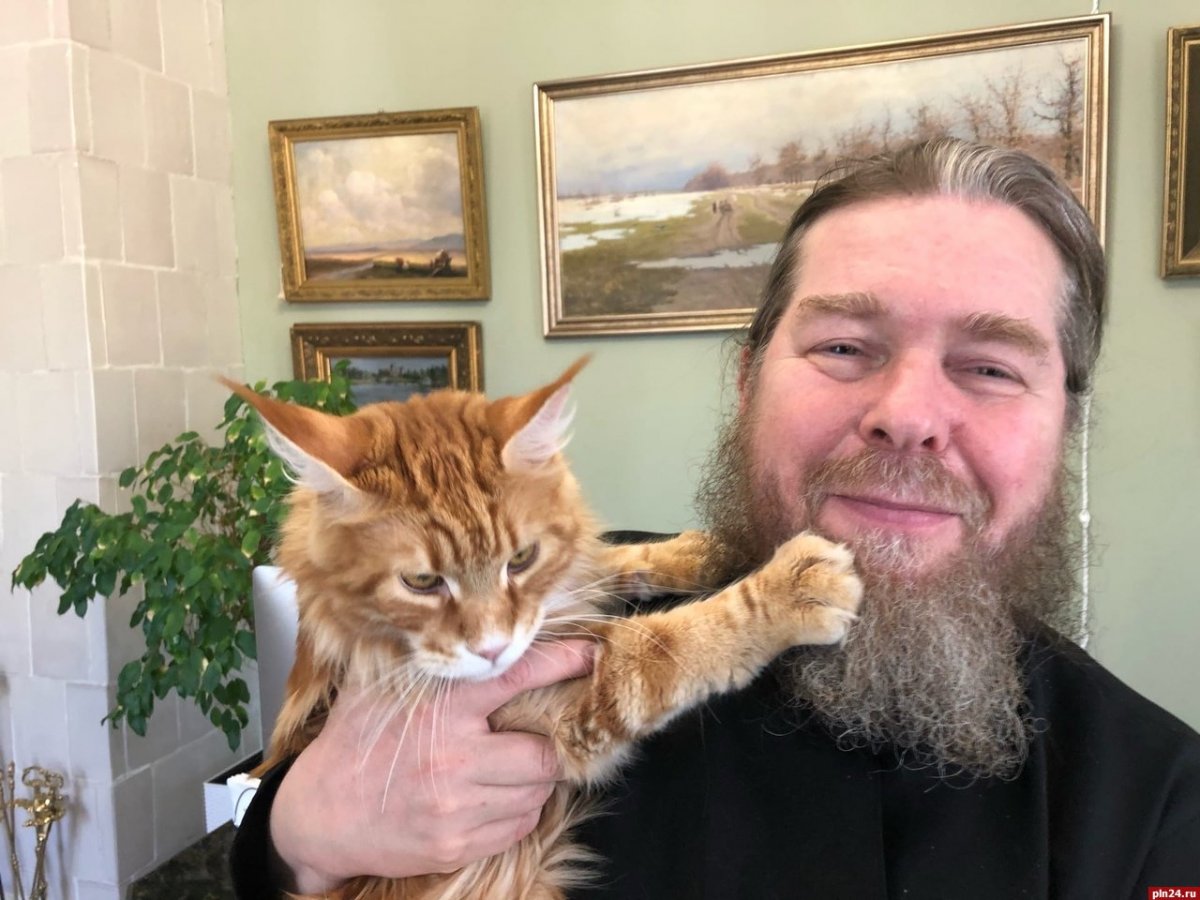 Кот Тихона Шевкунова