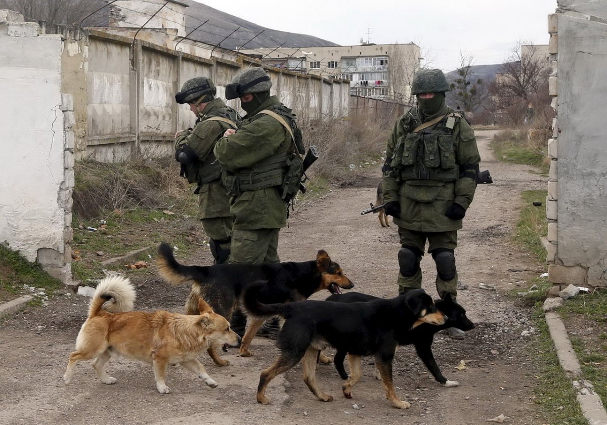 Вежливые люди в Крыму с котом