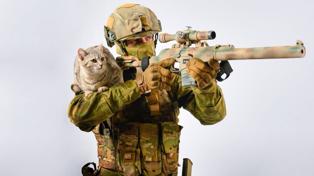 Кошачий спецназ