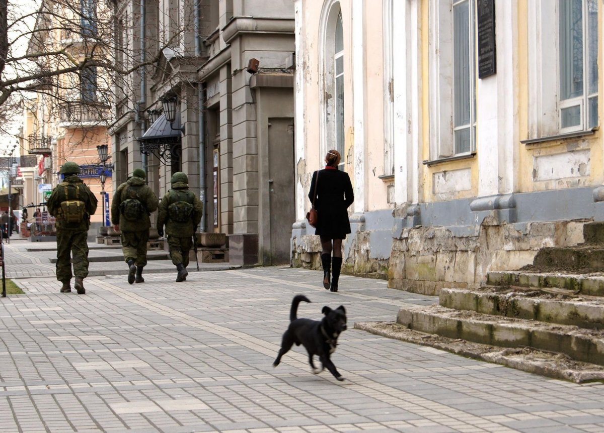 Военные в Крыму 2014 с кошкой