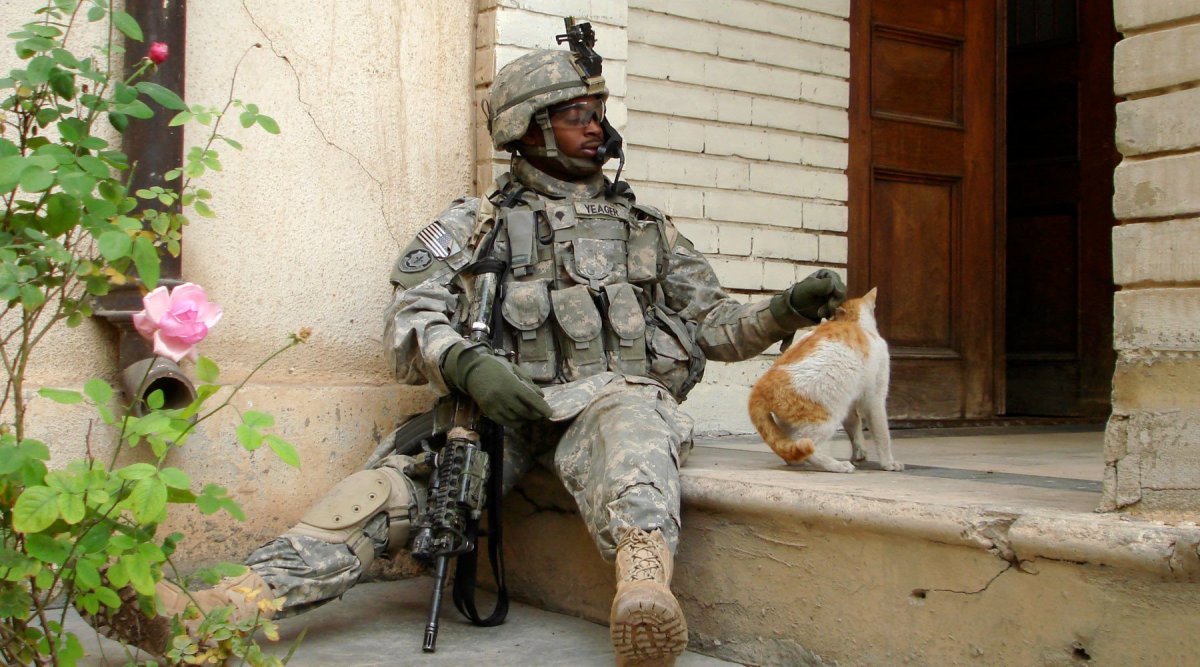 Американский солдат с котом