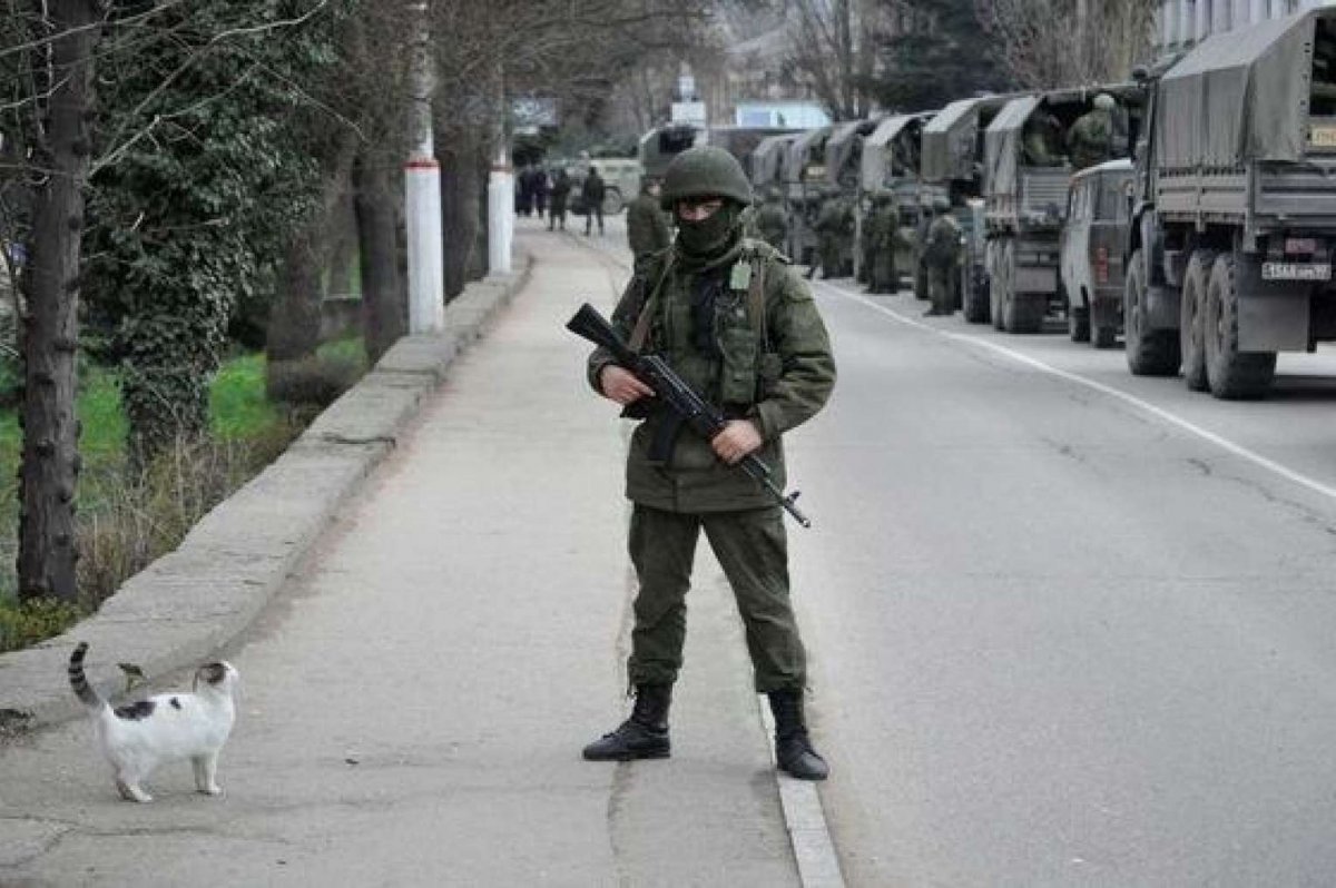 Вежливые люди с котом