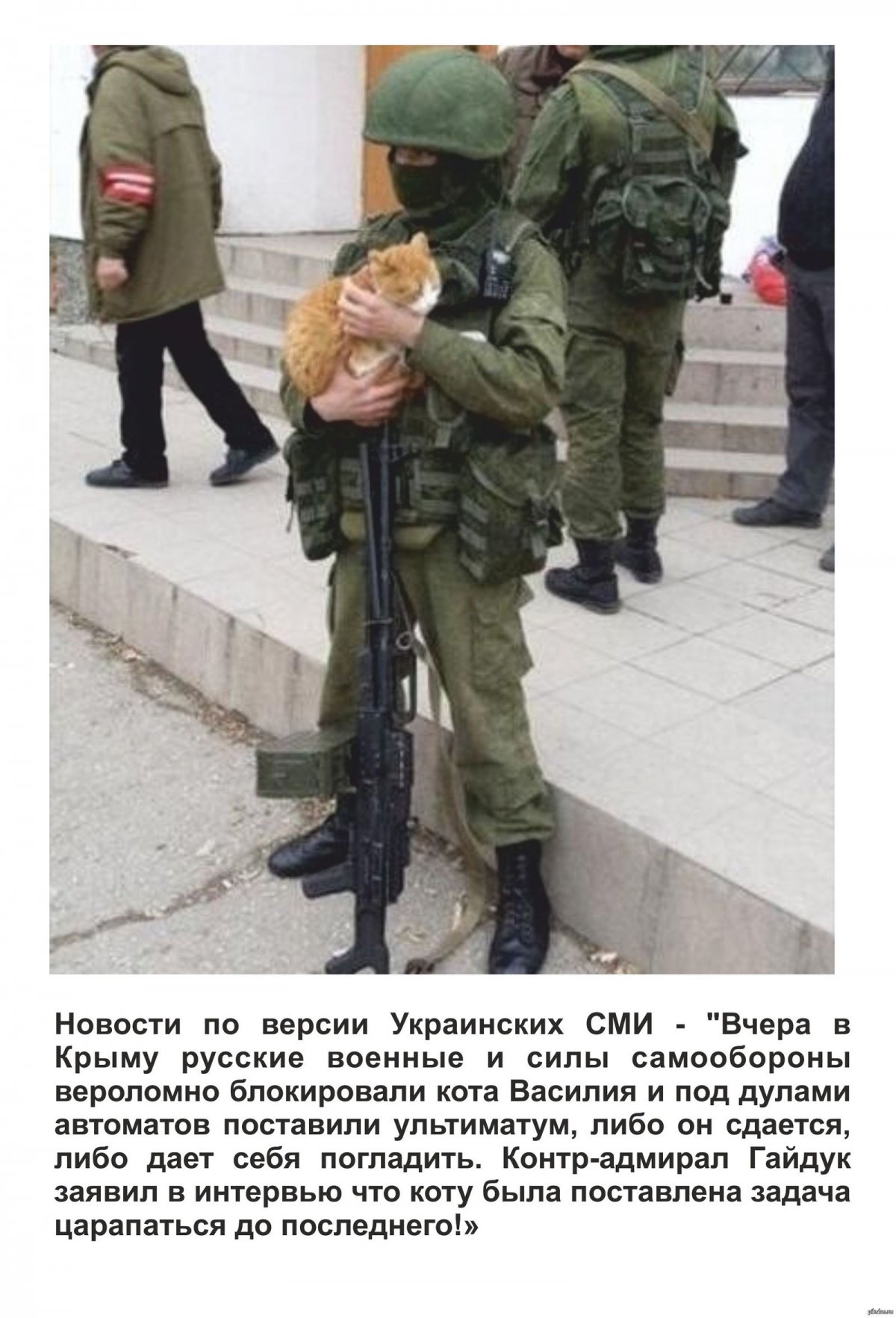 Вежливые люди с котом