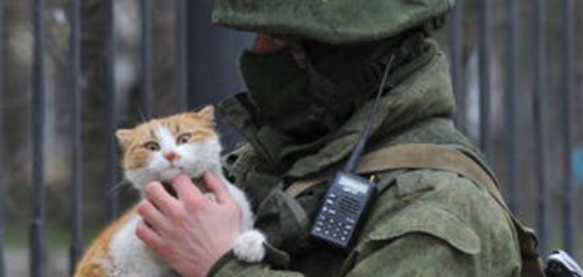 Вежливые люди с котом