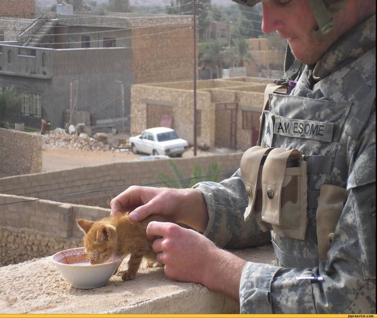 Солдат с котенком