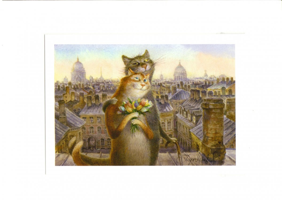 Петербургские коты Владимира Румянцева