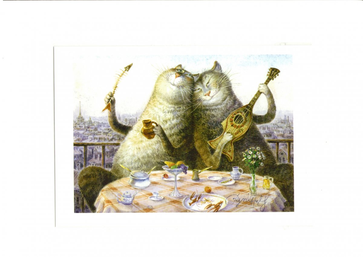 Питерские коты Владимира Румянцева Мурики амурики