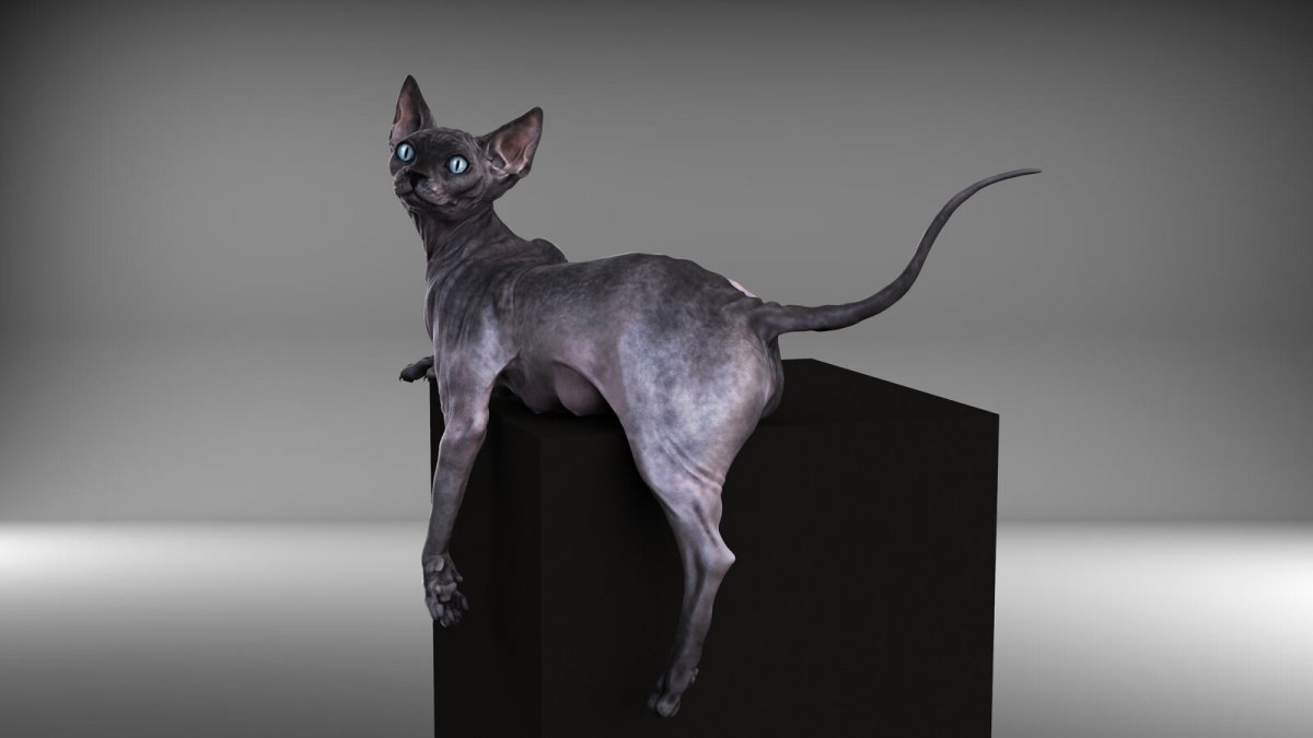 Обои на рабочий стол сфинкс